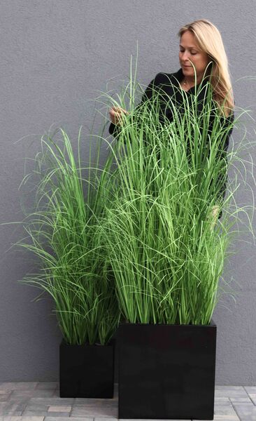kompozycja Trawy Macarena Premium Mniejsze w sześciennej czarnej donicy, wys.130cm