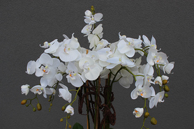 duży sztuczny storczyk Złota Bajka mniejszy, wys.120cm