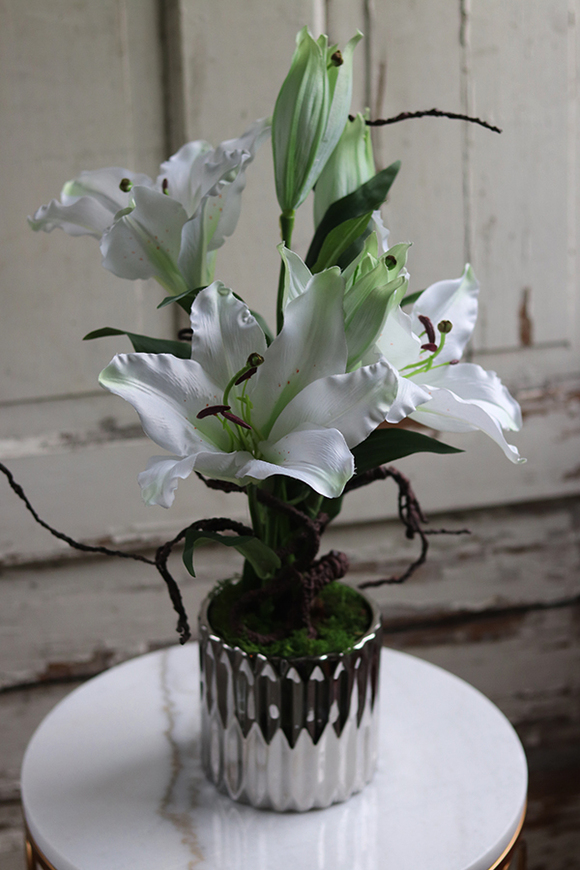 Lilie Silver, kompozycja w srebrnej donicy, wys.56cm