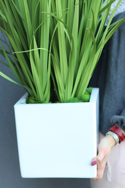 Fiberglass Grande Felina, sztuczna trawa z kłosami w kwadratowej donicy, wys.125cm