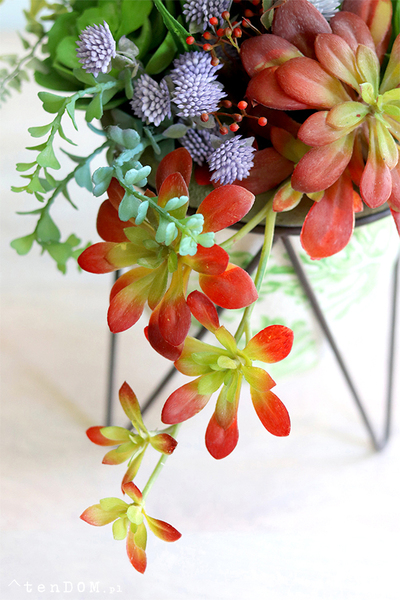 kompozycja sukulenty w donicy na stojaku, Marocco, wys.45cm