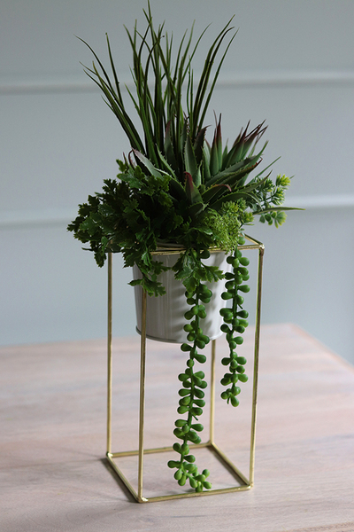 kompozycja sukulenty w donicy na stojaku, Montreal, wys.44cm