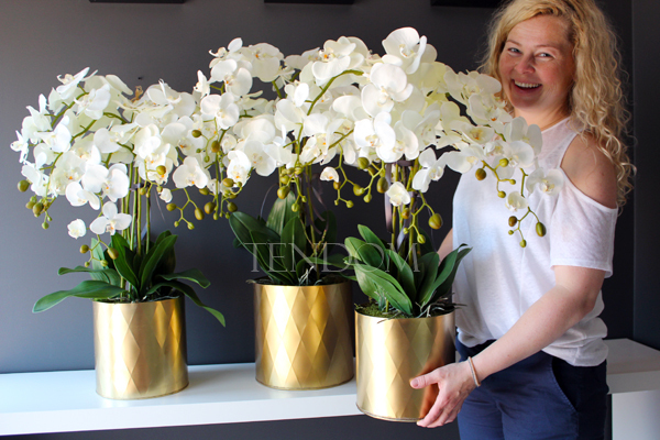 sztuczny storczy Golden Dreams, wys.85cm duży