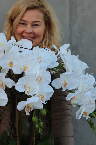 duży storczyk Mediolan Round w białej lub kremowej donicy, wys.85cm