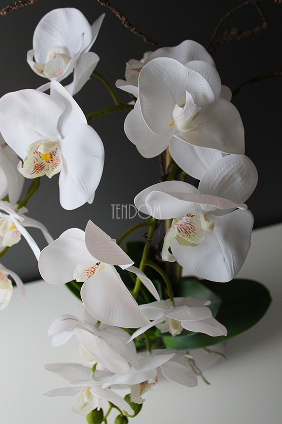 efektowny storczyk w beżowej donicy Glamour Beige, wys.52cm