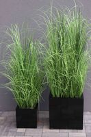 kompozycja Trawy Macarena Premium Mniejsze w sześciennej czarnej donicy, wys.130cm