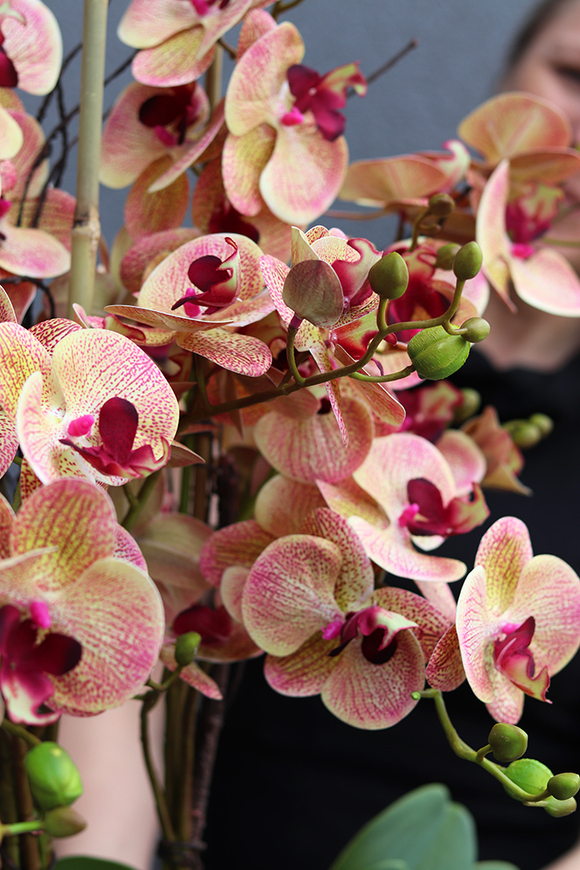 Mediolana Granada, duży sztuczny storczyk, wys.90cm