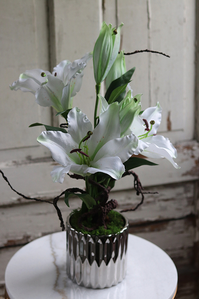 Lilie Silver, kompozycja w srebrnej donicy, wys.56cm