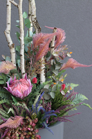 Fiberglass Moko Grey, ekskluzywna kompozycja w szarej donicy, wys.177cm 