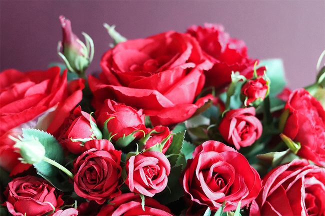 efektowna kwiatowa kompozycja, Red Fire Banerra, rozp.50cm 