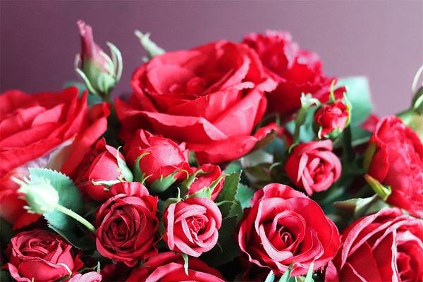 efektowna kwiatowa kompozycja, Red Fire Banerra, rozp.50cm 