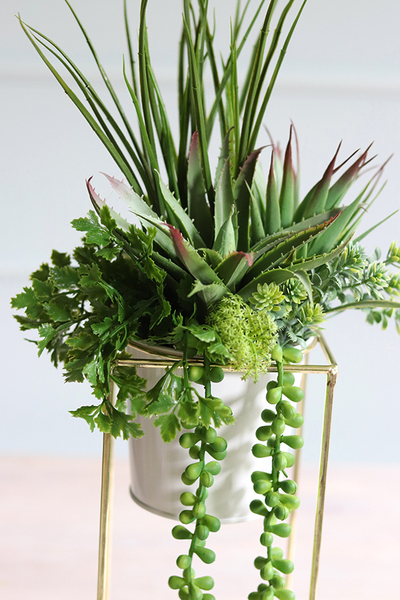 kompozycja sukulenty w donicy na stojaku, Montreal, wys.44cm