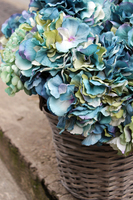 bogaty kosz ze szlachetnymi hortensjami Exclusive Blue Ocean 56x56cm