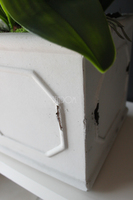 Wenecja storczyk w eleganckiej donicy, wys.90cm