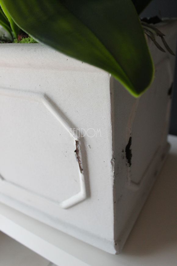 Wenecja storczyk w eleganckiej donicy, wys.90cm