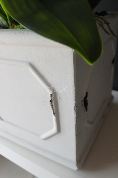 Wenecja storczyk w eleganckiej donicy, wys.90cm