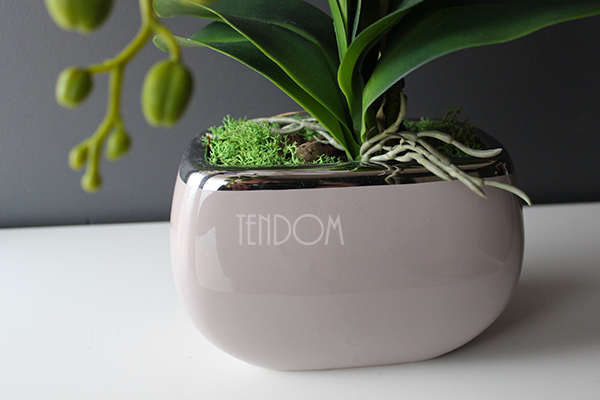 efektowny storczyk w beżowej donicy Glamour Beige, wys.52cm