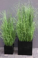 kompozycja Trawy Macarena Premium Mniejsze w sześciennej czarnej donicy, wys.130cm