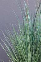 Wenecja, sztuczne trawy w eleganckiej donicy, wys.160cm 