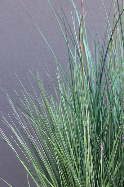 Wenecja, sztuczne trawy w eleganckiej donicy, wys.160cm 