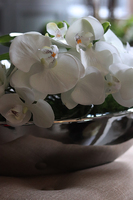 Leona Storczyk, kompozycja kwiatowa w srebrnym naczyniu - łódce, dł.58cm