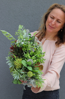 Lorento, kompozycja ze sztucznych sukulentów w donicy glamour, wys.25cm