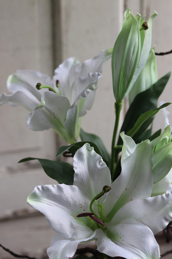 Lilie Silver, kompozycja w srebrnej donicy, wys.56cm