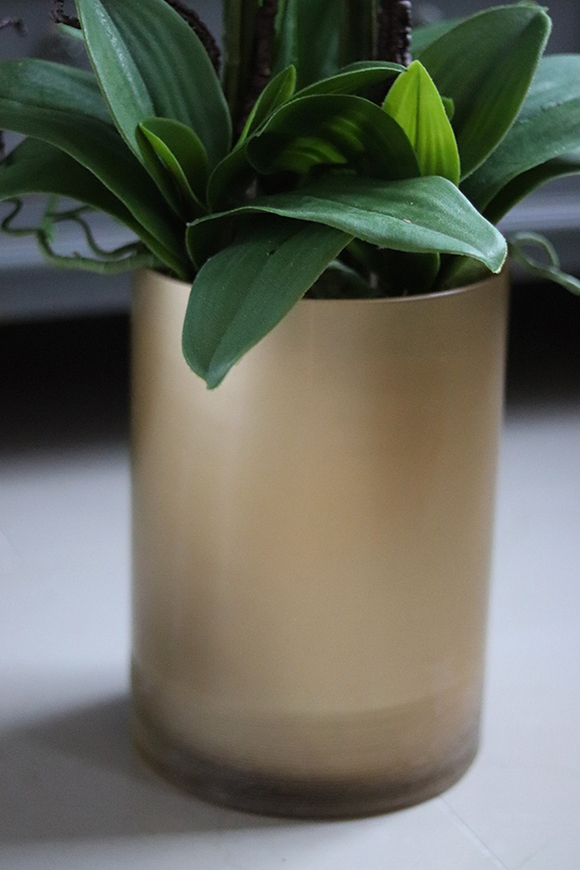 elegancki storczyk w szklanej donicy, Złota Lejdi, wys.90cm