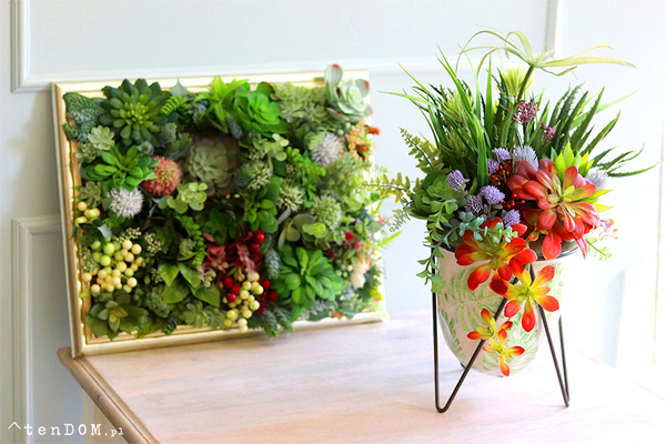 kompozycja sukulenty w donicy na stojaku, Marocco, wys.45cm