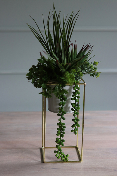 kompozycja sukulenty w donicy na stojaku, Montreal, wys.44cm