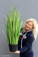 Moris New, wysoka sztuczna trawa, 1szt, wys.110cm