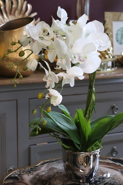 Hemina New, sztuczny storczyk w lustrzanej donicy, wys.50cm 