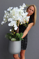 Gelane Fiberglass, duży storczyk z sukulentami, wys.97cm