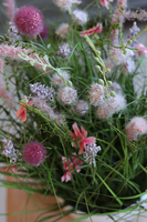 Salvatore Pink, wiosenna kompozycja traw i polnych kwiatów, wys.50cm