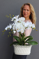 Limena, sztuczny storczyk w ceramicznej ażurowej donicy, wys.50cm