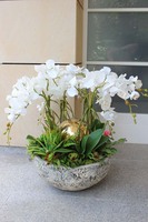 Golden Heaven, ekskluzywny, bardzo duży storczyk ze złotymi kulami i sukulentami, wys.62cm