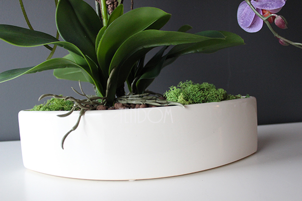 Kaori, elegancki storczyk w białej misie, wys.50cm