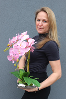 Linetta, oryginalny storczyk w oryginalnym płaskim naczyniu, wys.50cm