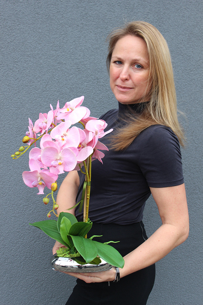 Linetta, oryginalny storczyk w oryginalnym płaskim naczyniu, wys.50cm