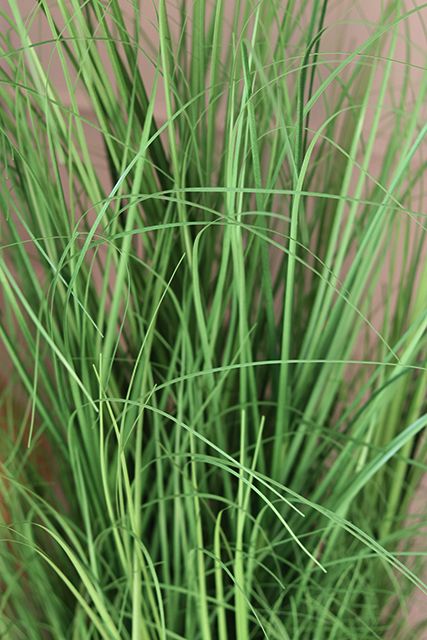 Magoda, nowoczesna kompozycja ze sztucznej trawy, wys.145cm