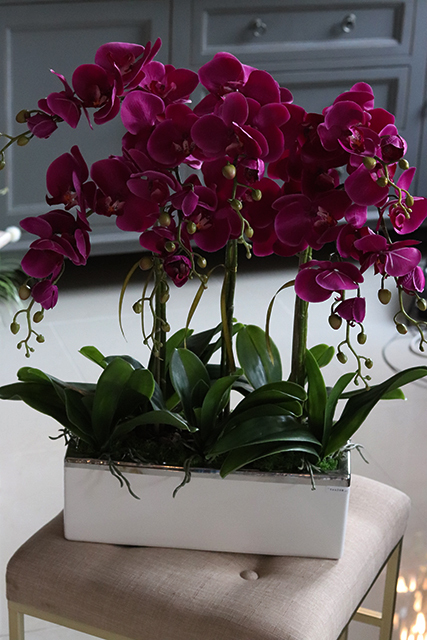 Leo Fuksja, storczyk w biało - srebrnej donicy, wys.52cm