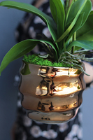 Gold Tulluza Small, sztuczny storczyk w złotej donicy, wys.55cm