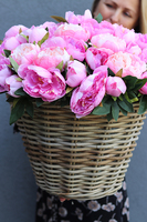 bardzo bogaty kosz peonii, Pink Peony wym.48x50cm