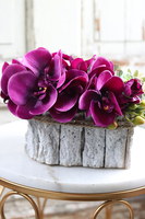 dekoracja z sukulentami i storczykiem, Serce z Orchideą Fuschia, wym.26x26x17cm