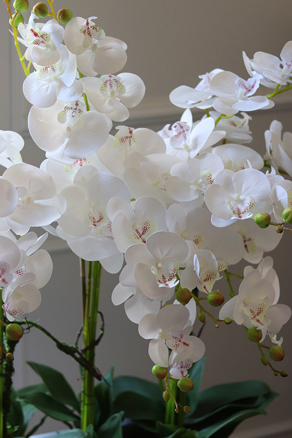 Grande Fiberglass Marco, duża kompozycja ze storczykiem, wys.121cm