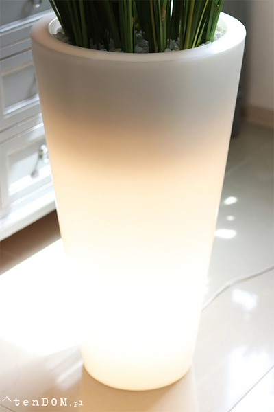 Dolomita Light, trawa z kłosami w podświetlanej donicy, wys.165cm