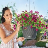 Nido Cottage, wisząca donica z nawadnianiem, szara, wym.23x27cm