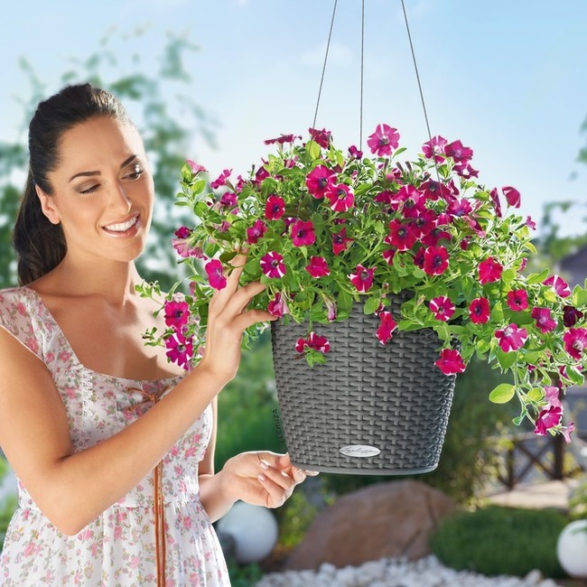 Nido Cottage, wisząca donica z nawadnianiem, szara, wym.23x27cm