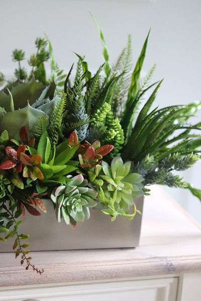 kompozycja z sukulentami w stalowej donicy Simple Steel, wys.30cm