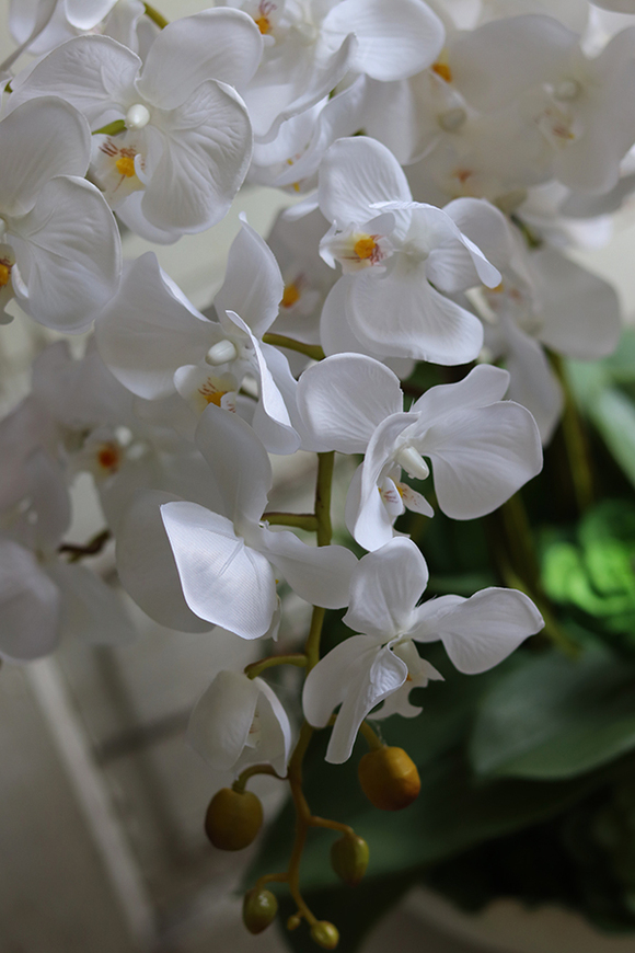 Terto, storczyk i sukulenty w dekoracyjnej misie, wys.62cm 